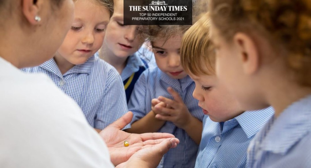 1717539454_EARLY-YEARS-EDUCATOR-Full-time-Fixed-Term-Contract-Maternity-Cover.jpg