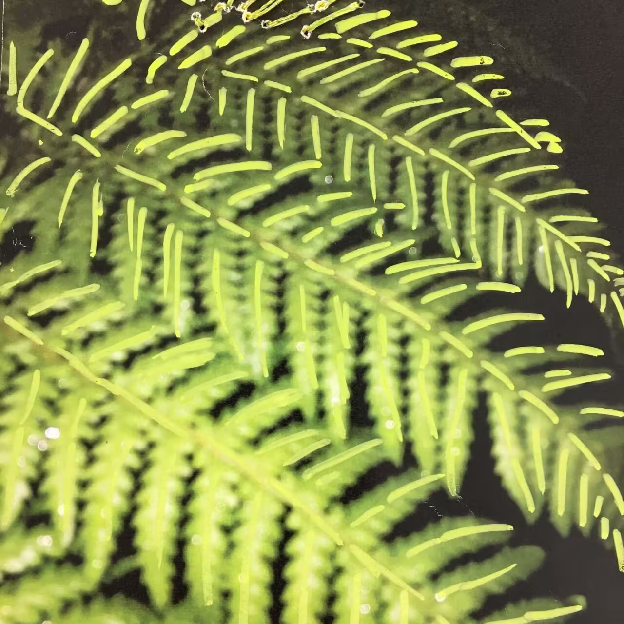 1717554636_Sharing-some-art-work-from-our-Form-5-classes-completed-1280x1280.jpg