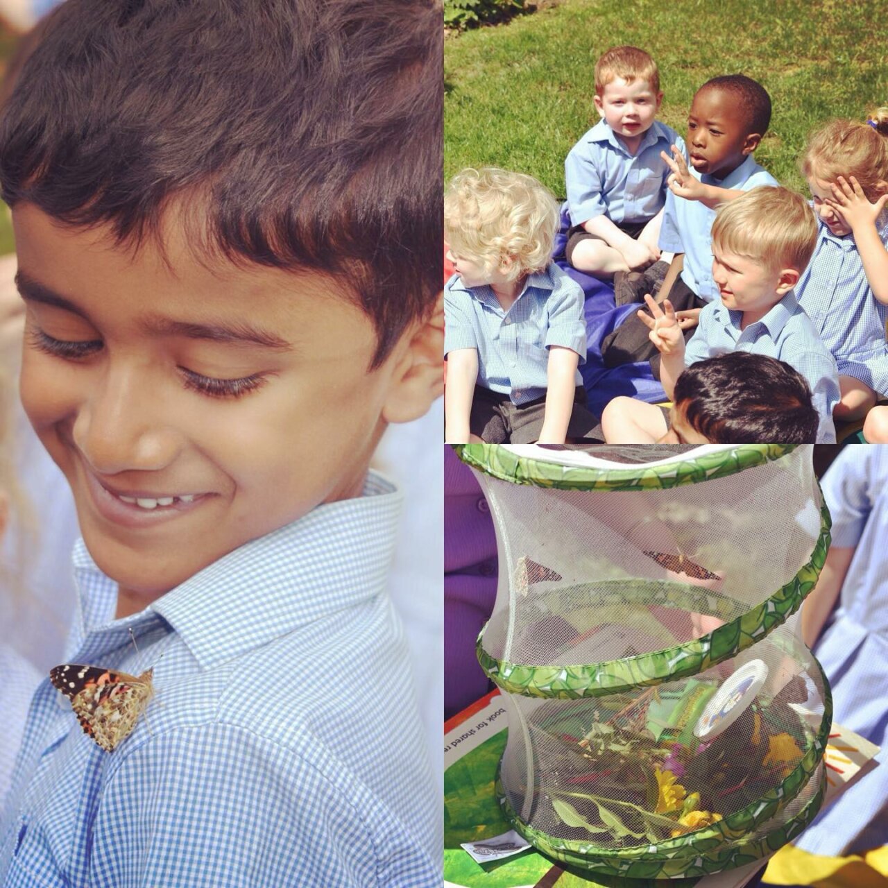 1717578934_From-cocoons-to-butterflies-lifesjourney-learning-newdiscoveries-1280x1280.jpg