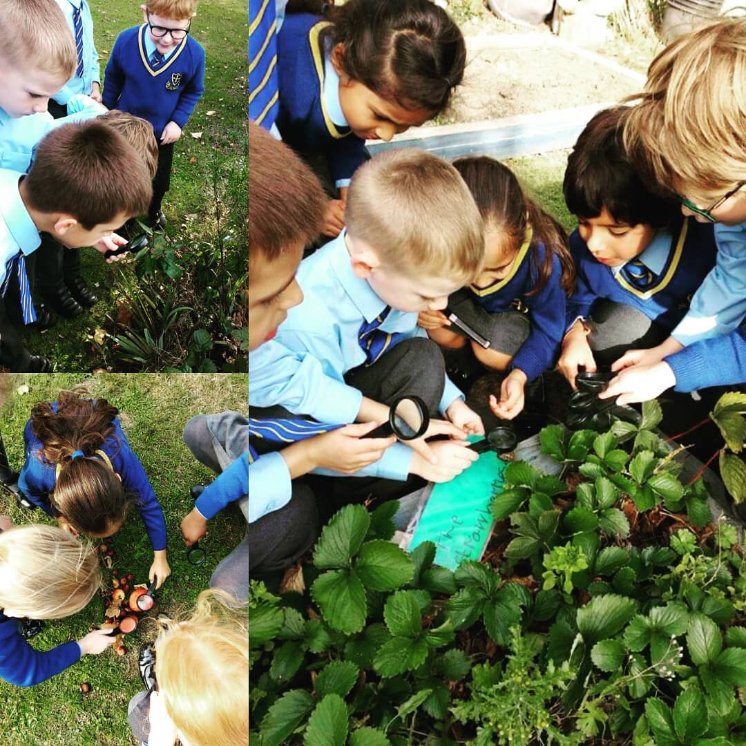 1717583852_Eye-spyYear-2-pupils-have-been-looking-into-habitats-this.jpg